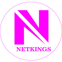 NETKINGS logo, NETKINGS contact details