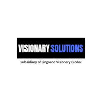 VISIONARY SOLUTIONS NIGERIA logo, VISIONARY SOLUTIONS NIGERIA contact details