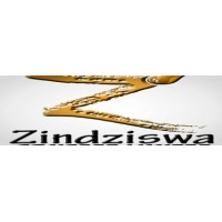 ZINDZISWA CONCEPT LIMITED logo, ZINDZISWA CONCEPT LIMITED contact details