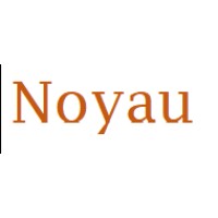 Noyau Technologies ltd logo, Noyau Technologies ltd contact details