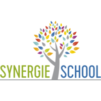 Synergieschool logo, Synergieschool contact details