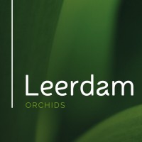 Leerdam Orchids logo, Leerdam Orchids contact details