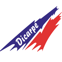 Dicarpe Transportes logo, Dicarpe Transportes contact details