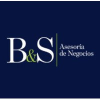 B&S Asesoria de Negocios logo, B&S Asesoria de Negocios contact details