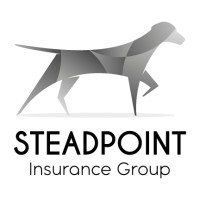 SteadPoint Insurance Group logo, SteadPoint Insurance Group contact details