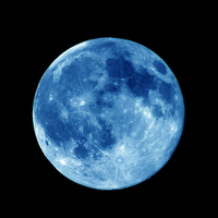 The Blue Moon Marketing logo, The Blue Moon Marketing contact details