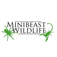 Minibeast Wildlife logo, Minibeast Wildlife contact details