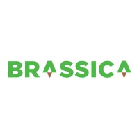 Brassica Group logo, Brassica Group contact details