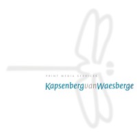 Kapsenberg van Waesberge logo, Kapsenberg van Waesberge contact details