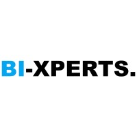 BI-XPERTS logo, BI-XPERTS contact details