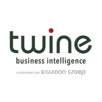 Twine business intelligence logo, Twine business intelligence contact details