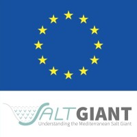 ETN SaltGiant logo, ETN SaltGiant contact details