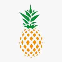 Piñata marketing 🍍 logo, Piñata marketing 🍍 contact details