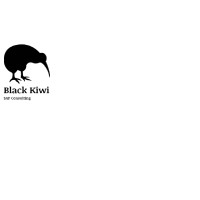 Black Kiwi Consulting logo, Black Kiwi Consulting contact details