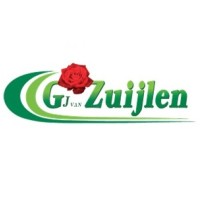 G.J. van Zuijlen Bloemenexport B.V. logo, G.J. van Zuijlen Bloemenexport B.V. contact details