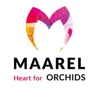 Maarel Orchids logo, Maarel Orchids contact details