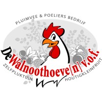 vof De Walnoothoeve(n) logo, vof De Walnoothoeve(n) contact details