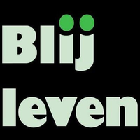 A. Blijleven B.V. logo, A. Blijleven B.V. contact details