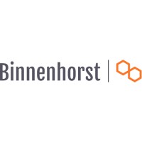 Binnenhorst Consultancy logo, Binnenhorst Consultancy contact details