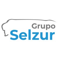 Grupo Selzur logo, Grupo Selzur contact details