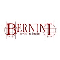 Bernini Advies & Interim logo, Bernini Advies & Interim contact details