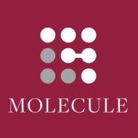 Molecule Consultancy logo, Molecule Consultancy contact details