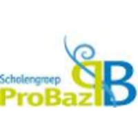 ProBaz logo, ProBaz contact details