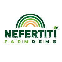 NEFERTITI H2020 logo, NEFERTITI H2020 contact details