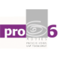 Pro6 Advies logo, Pro6 Advies contact details