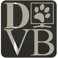 DVB Consulting & Services BV logo, DVB Consulting & Services BV contact details