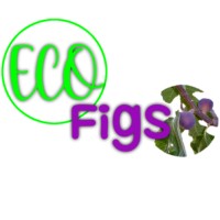 Eco Figs Fruits logo, Eco Figs Fruits contact details