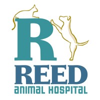 Reed Animal Hospital logo, Reed Animal Hospital contact details