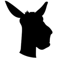 Donkey Performance logo, Donkey Performance contact details