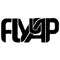 Flyapir logo, Flyapir contact details