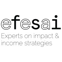 efesai logo, efesai contact details