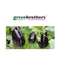 Greenbrothers V.O.F. logo, Greenbrothers V.O.F. contact details