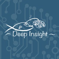 Deep Insight Tech logo, Deep Insight Tech contact details