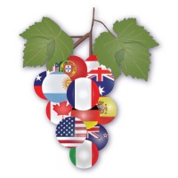 Winesellers, Ltd. logo, Winesellers, Ltd. contact details