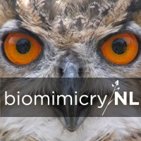 biomimicryNL logo, biomimicryNL contact details