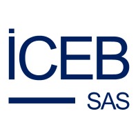 ICEB : MAGIC BPM & GBS software logo, ICEB : MAGIC BPM & GBS software contact details