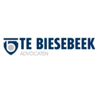 Te Biesebeek Advocaten logo, Te Biesebeek Advocaten contact details