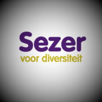 Sezer Advies & Projectontwikkeling logo, Sezer Advies & Projectontwikkeling contact details