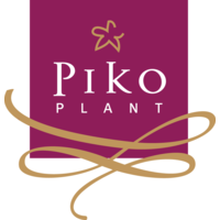 Piko Plant B.V. logo, Piko Plant B.V. contact details