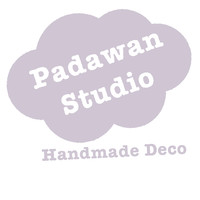 Padawan Studio logo, Padawan Studio contact details