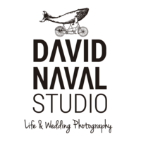 David Naval Studio logo, David Naval Studio contact details