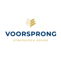 Voorsprong B.V. logo, Voorsprong B.V. contact details