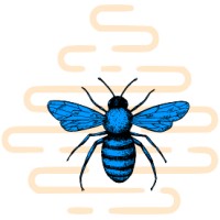 Blue Bee Bankruptcy Law logo, Blue Bee Bankruptcy Law contact details