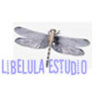 Libelula Estudio logo, Libelula Estudio contact details