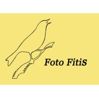 Foto Fitis logo, Foto Fitis contact details