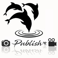 Publish Agencia Digital logo, Publish Agencia Digital contact details